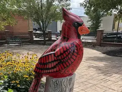 cardinal project med